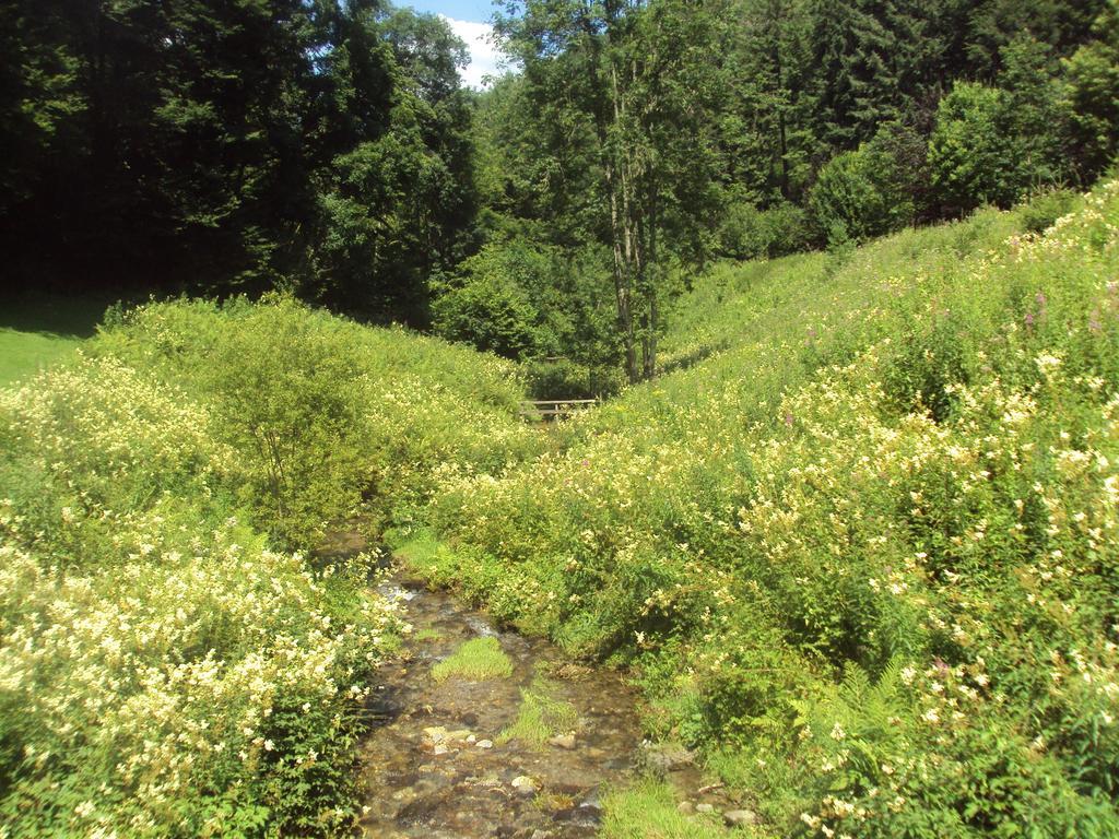 Le Vieux Moulin Bohan Kültér fotó