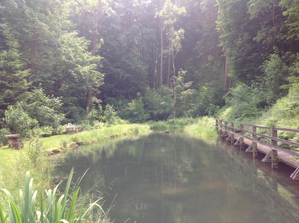 Le Vieux Moulin Bohan Kültér fotó